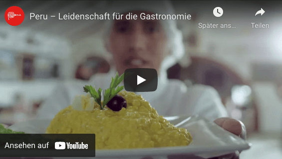 German Voice Actor Sample Video